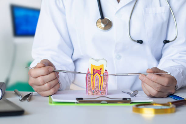 Best Emergency Tooth Extraction in Mont Alto, PA